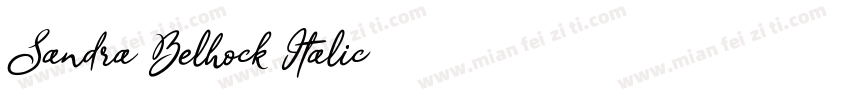 Sandra Belhock Italic字体转换